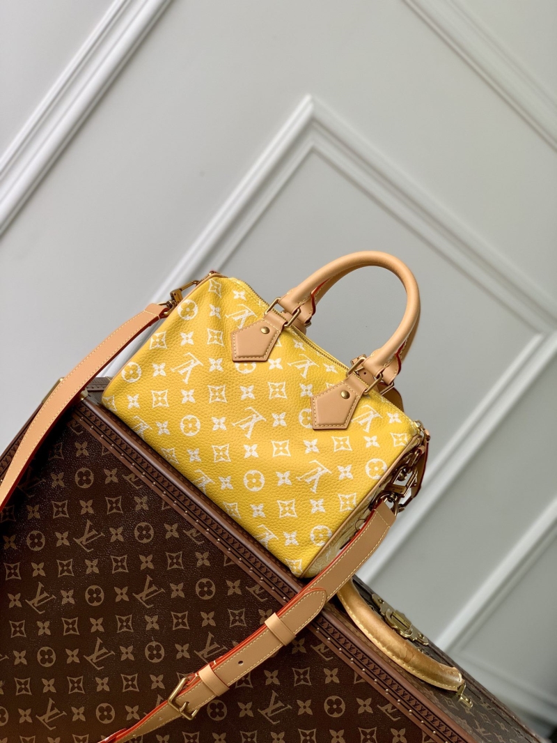 LV Travel Bags